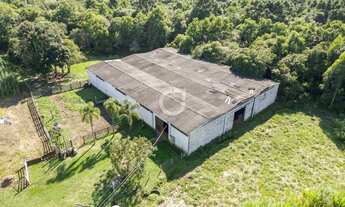 Imagem 4: Sítio com 10 Alqueires a 30 Min de Curitiba Estrutura Completa e 90% Mecanizável