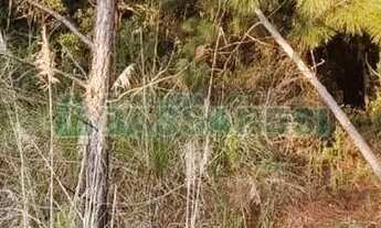 Imagem 4: Terreno Parada Cristal Caxias do Sul