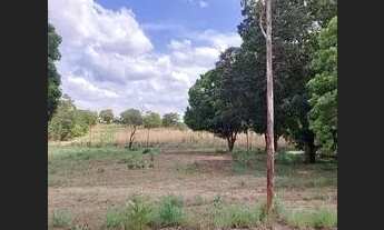 Imagem 6: Vende-se Chácara de 44 Mil m² em Área Urbana de Palmas