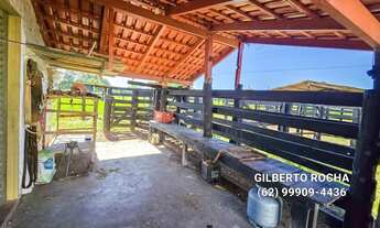 Imagem 7: Chacara completa localizada entre Araguapaz e Mozarlândia - GO