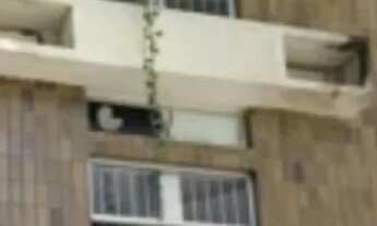 Imagem 5: Apartamento no coração de BV