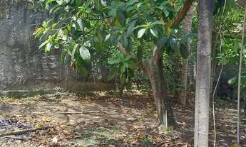 Imagem 5: Casa na Ilha Gameleira Marcelino Fundo do Atacadão