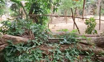 Imagem 7: ÓTIMO TERREN0 PARA CHÁCARA