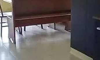 Imagem 7: Apartamento 2 quartos a venda em Matinhos