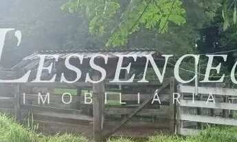 Imagem 6: Chácara com 2 Alqueires | Avelinópolis | Curral