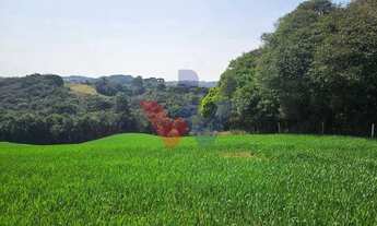 Imagem: Área de 20.000 m para Chácara Próxima
