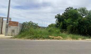 Imagem 3: Terreno 10x50 com escritura registrada