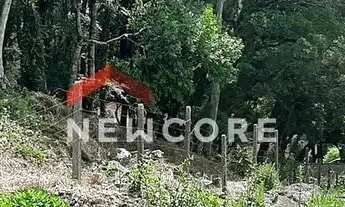 Imagem 7: Lote em condomínio em Avenida Villagio - 2Mato Queimado - Gramado/RS