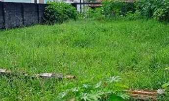 Imagem 4: 2 TERRENO EM CAPELA