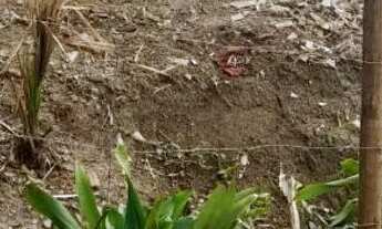 Imagem 6: Terreno 10X49,80