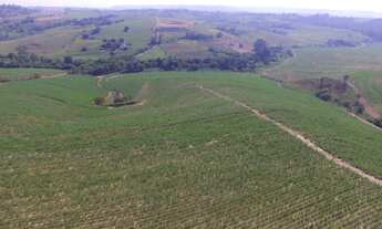 Imagem 7: Fazenda 44 alqueires Cana de Açúcar - Piracicaba SP