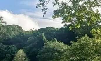 Imagem 4: VENDE-SE CHACARA NO MUNICIPIO DE AVELINOPOLIS-GO COM 2 ALQUEIRES