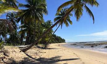 Imagem: VIVANT ECO BEACH TAIPU DE FORA