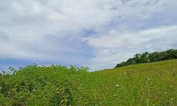 Imagem 4: Oportunida unica no interior de SP - 500 - Ibiuna