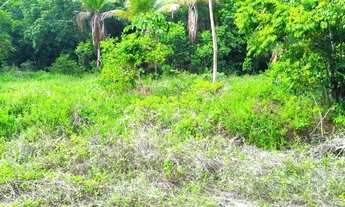 Imagem 2: Fazenda de CAMARÃO - 26 tarefas - INDIAROBA