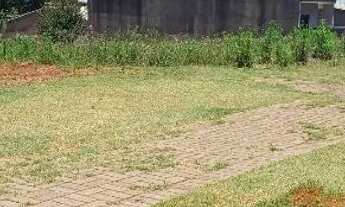 Imagem: Terreno a venda em Ibema pr