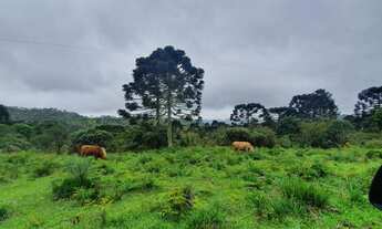 Imagem 2: Sítio no Morro da igreja/chácara em Urubici