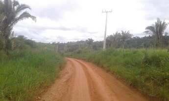 Imagem 5: Terra de 46 alqueiros na vicinal 3 barracas 30 de pastagem cercada, etc