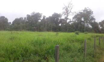 Imagem 7: Terra de 46 alqueiros na vicinal 3 barracas 30 de pastagem cercada, etc