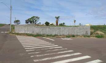 Imagem 6: Terreno para Venda em Presidente Epitácio, AEROPORTO