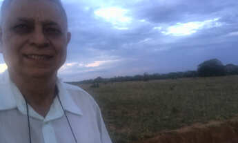 Imagem 3: 160 alqueires,Ocasião,lavoura,pecuária,Beira BR,Próximo Mutum,Diamantino-MT