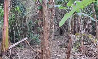 Imagem 8: Terreno com 523m2 no Jardim Guanabara - Rio de Janeiro - RJ