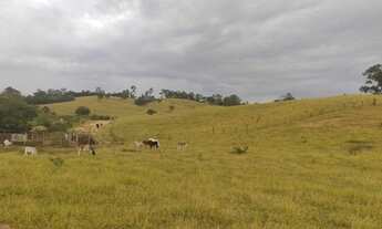 Imagem 2: Sítio para venda possui 120000 metros quadrados em Brigadeiro Tobias - Sorocaba - SP