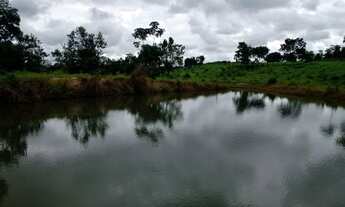 Imagem 3: FAZENDA TOPISSIMA venda urgente