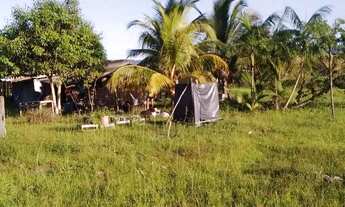 Imagem 3: Chácara de 2 linhas a venda no cedere 1 dentro da vila