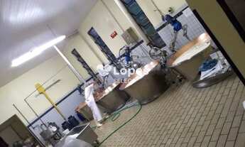 Imagem 4: Fazenda laticínios e suínos 127,5 alqueires, Pouso Alegre-MG