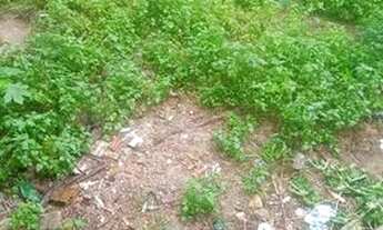 Imagem 3: Oportunidade!!!!!corra antes que eu desista....14.000.00