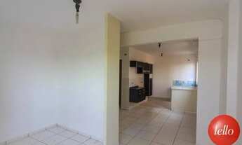 Imagem 6: São Paulo - Apartamento Padrão - Jabaquara