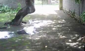 Imagem 4: Vendo ou troco (outro imóvel ou carro