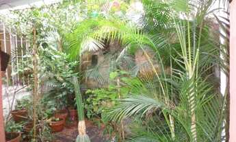 Imagem 6: SOBRADO COMERCIAL/RESIDENCIAL NA VILA MARIANA