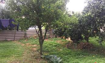 Imagem 2: CAXIAS DO SUL - Casa Padrão - Madureira