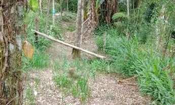 Imagem: Venda de um terreno próximo Parelheiros