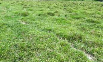 Imagem 7: T.e - Vende-se terrenos na planta aproveite