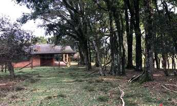 Imagem 7: CAXIAS DO SUL - Terreno Padrão - Santo Antonio