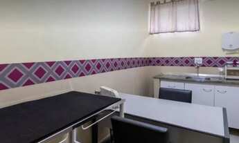 Imagem: Aluga-se sala para veterinário(a) especialista