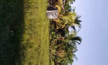 Imagem 2: Chácara de 2 linhas a venda no cedere 1 dentro da vila