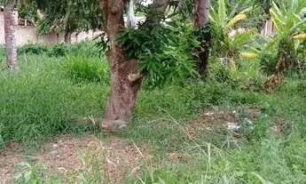 Imagem 2: Vendo casa no bairro aracelis