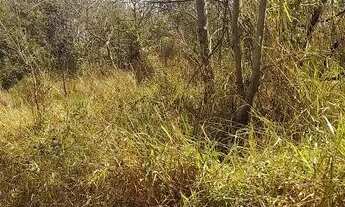 Imagem 6: Terreno no encontro das águas, esmeraldas