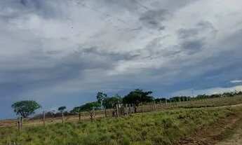 Imagem 5: Área de lavrado 103 hectares 53 kl da cidade titulada sem dívidas