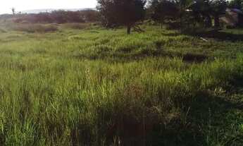 Imagem 6: Chácara de 2 linhas a venda no cedere 1 dentro da vila
