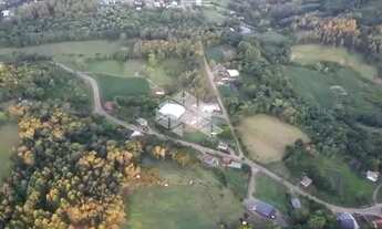 Imagem 7: Chácara (pomar) de 13,12ha na Linha 10 de Julio em Antonio Prado