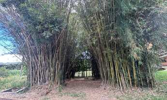 Imagem 4: Lindo Sitio 5,4 ha a 7km do Lago Negro