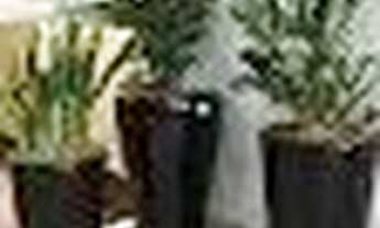 Imagem 2: Imóvel para venda com 94 metros quadrados com 2 quartos em Praia da Costa - Vila Velha - E