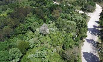 Imagem 5: Terreno no bairro Forqueta em Caxias do Sul