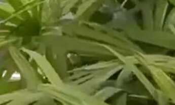 Imagem 2: Aluga-se, uma Casa mobiliada no bairro Sim