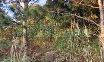 Imagem: Terreno Parada Cristal Caxias do Sul